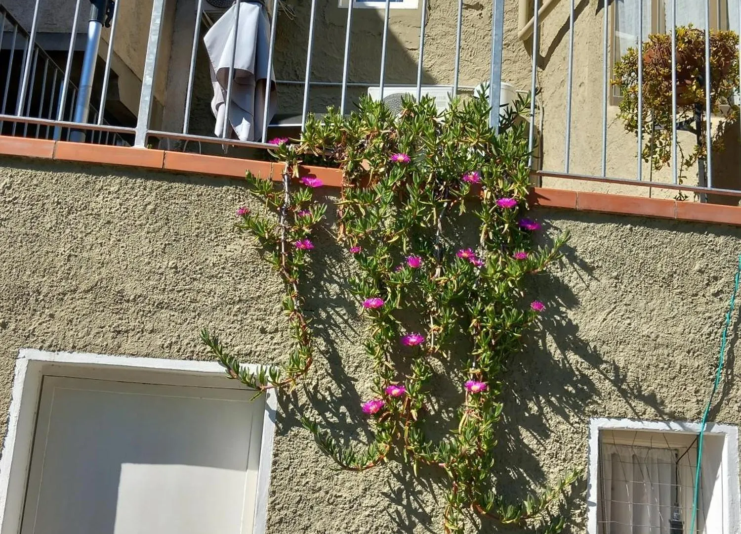 Appartamento Versilia Casina Del Cuore Torcigliano Montemagno