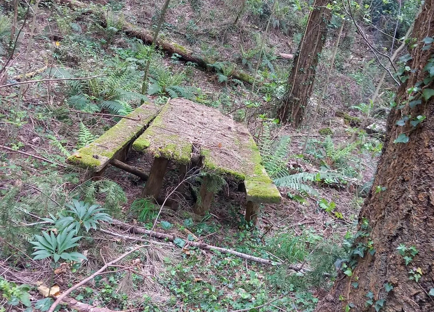 Appartamento Versilia Casina Del Cuore Torcigliano Montemagno