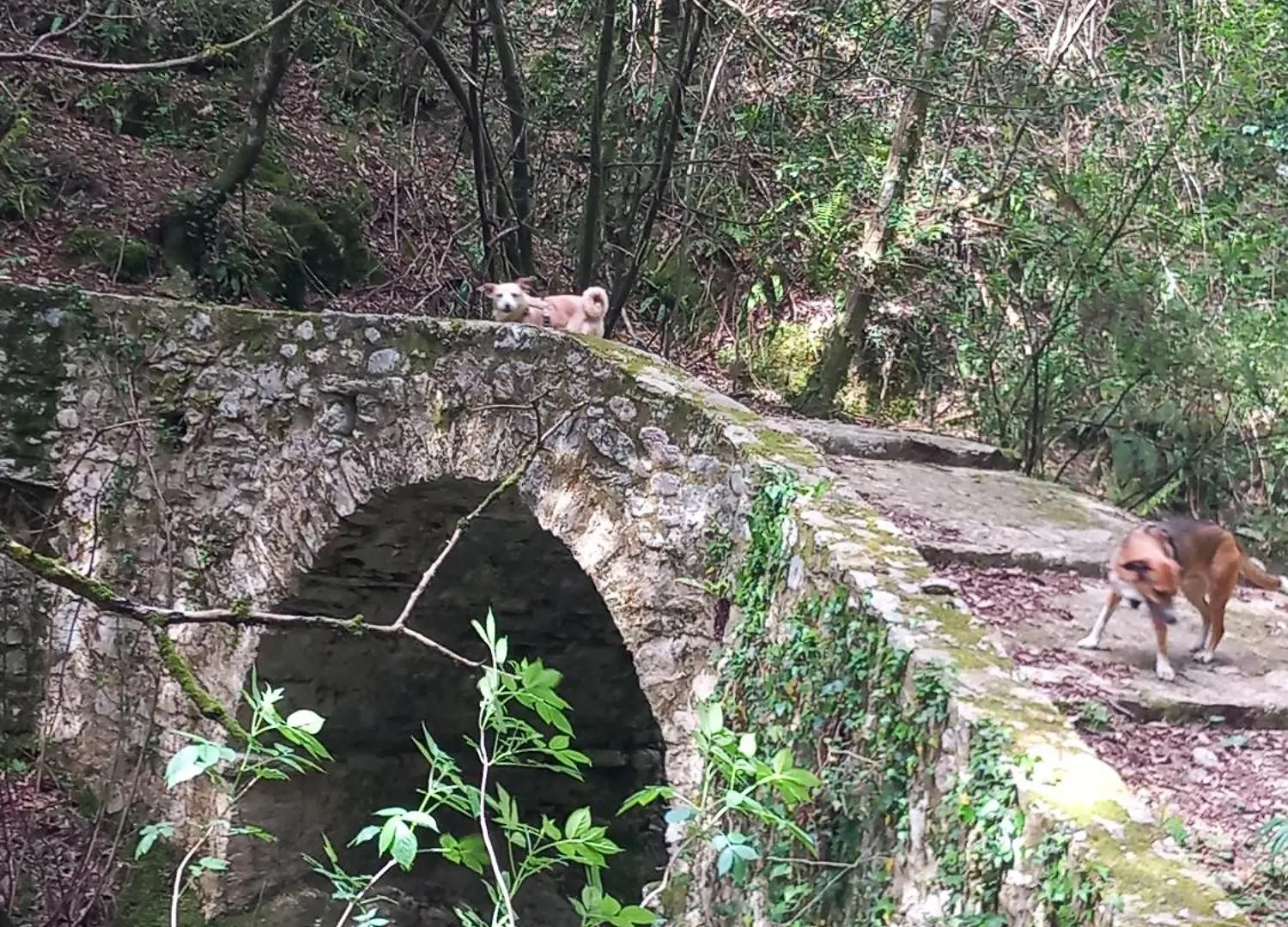 Appartamento Versilia Casina Del Cuore Torcigliano Montemagno  Montemagno (Lucca)