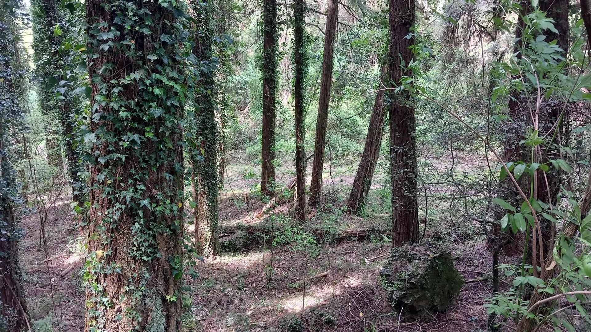Appartamento Versilia Casina Del Cuore Torcigliano Montemagno