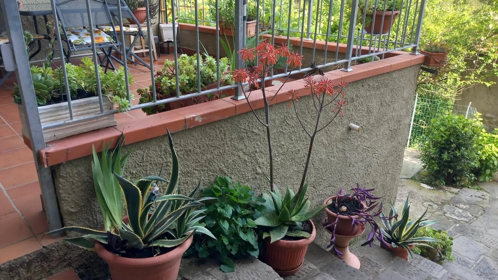 Appartamento Versilia Casina Del Cuore Torcigliano Montemagno  Italia
